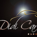 Didi Car's Services logo